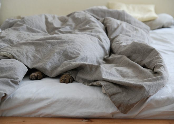 How to Properly Care for and Clean Your Comforter