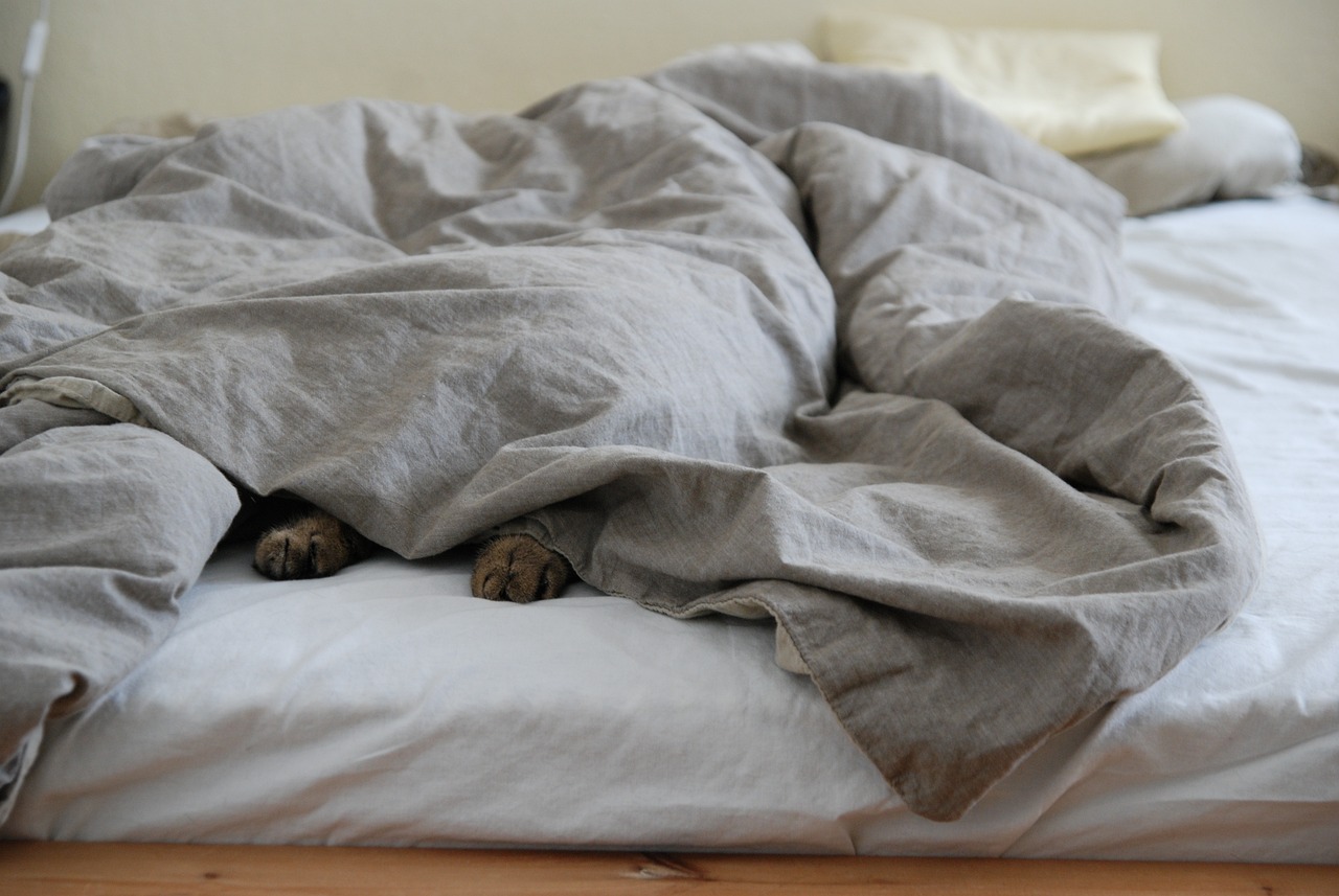 How to Properly Care for and Clean Your Comforter