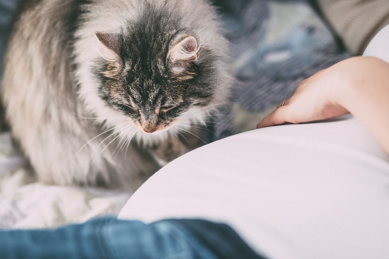 discover effective allergy relief solutions to help you breathe easy and enjoy life again. explore tips, remedies, and treatments tailored for all types of allergies.